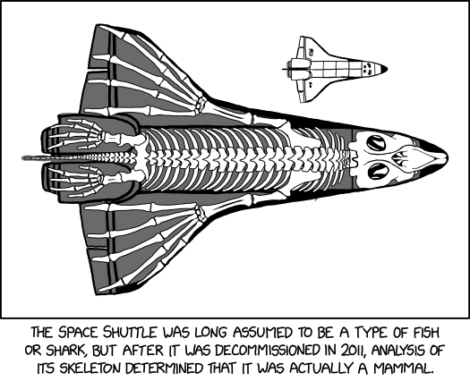 It's believed to be related to the Stellar Sea Cow.