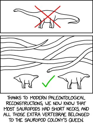 Vertebrae Georg