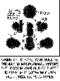 Thumbnail for version as of 22:26, 14 October 2026
