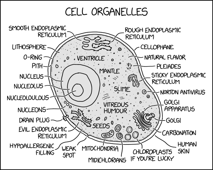 2941: Cell Organelles - explain xkcd