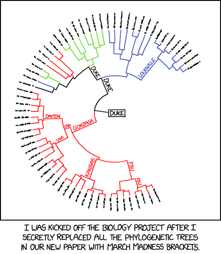 And I was kicked out of my March Madness pool because I wouldn't shut up about the evidence for NBA/ABA endosymbiosis.