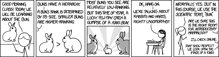 BunnyBunBun wiki, Wiki