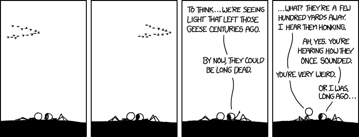 Anyway, that's a common misconception. Geese live for a long time; all the ones we can see will probably keep flying around for billions of years before they explode.