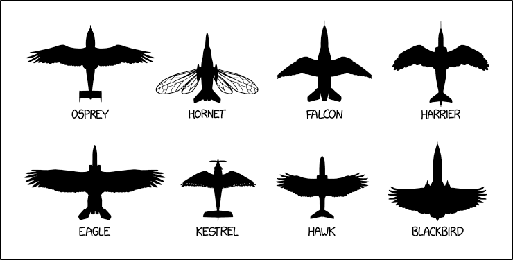 Raptor Bird Size Chart