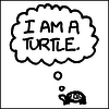 03-100-pixels-i-am-a-turtle.png
