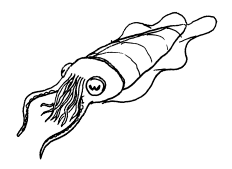 File:loot 071.png