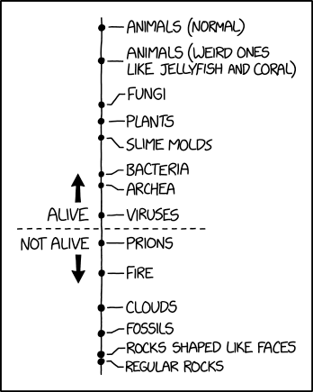 Computer viruses currently fall somewhere between prions and fire.