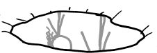 File:loot 128.png