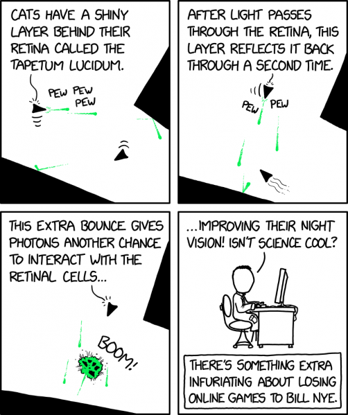 File:tapetum lucidum 2x.png