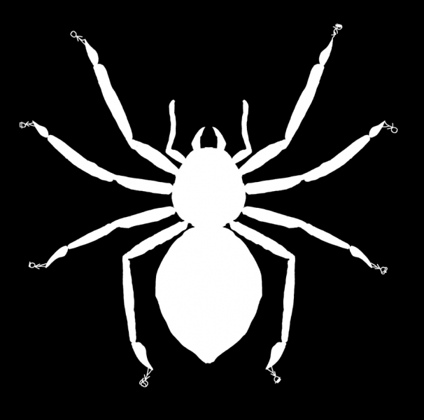File2765 Giant Spider.png explain xkcd