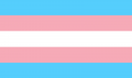 trans flag.png