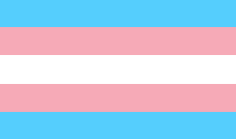 File:trans flag.png