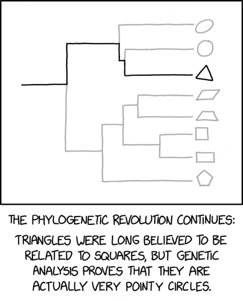 File:geometriphylogenetics 2x.png