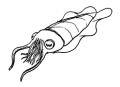 Thumbnail for version as of 01:08, 31 May 2026
