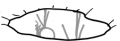 Thumbnail for version as of 01:05, 31 May 2026